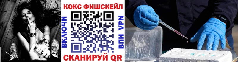 закладки  ссылка на мегу tor  COCAIN FishScale  Кизилюрт 