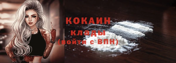 гидропоника Карпинск