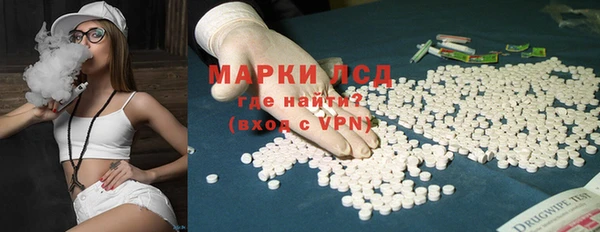 стаф Беломорск