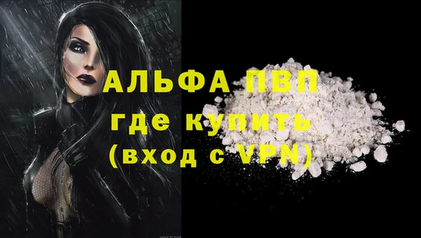 mdpv Бородино